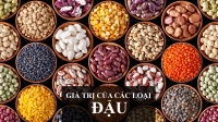 GIÁ TRỊ CỦA CÁC LOẠI ĐẬU