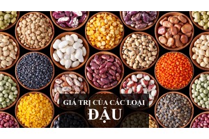 GIÁ TRỊ CỦA CÁC LOẠI ĐẬU